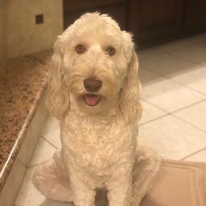 Meet your Posher, Nick